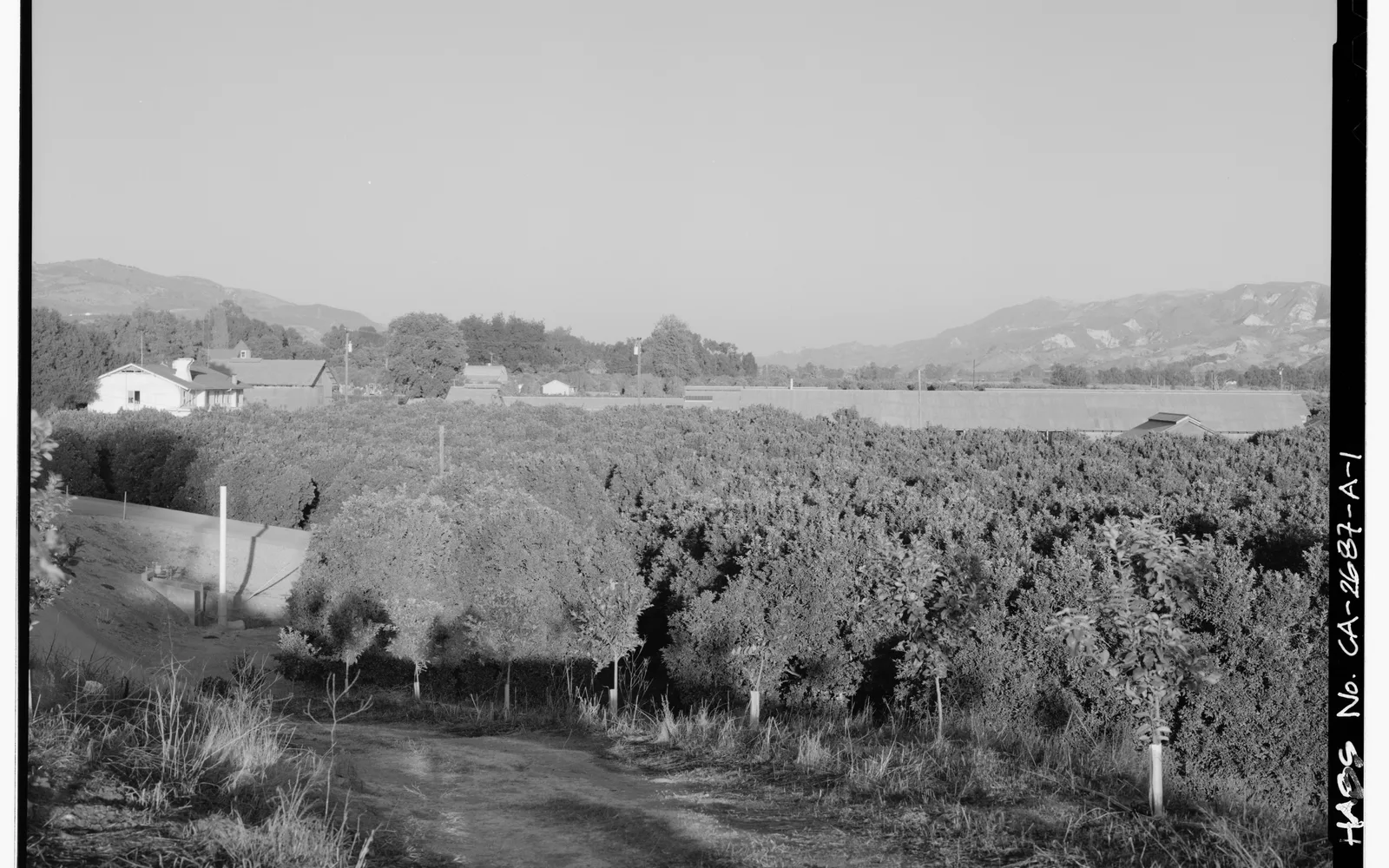 View of Sespe Ranch and citrus groves in Ventura County, California